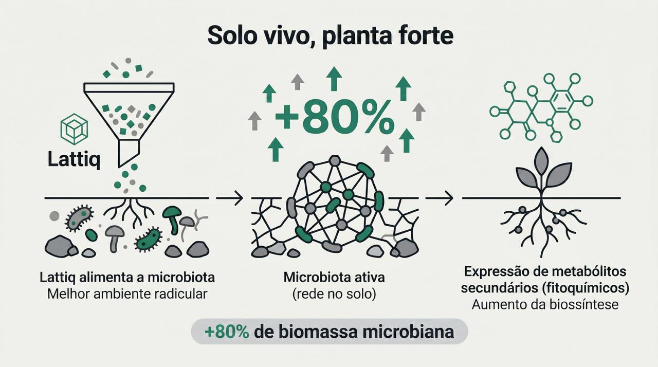 Solo vivo: microbiota ativa e metabólitos secundários